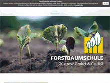 Tablet Screenshot of forstbaumschule-guestrow.de